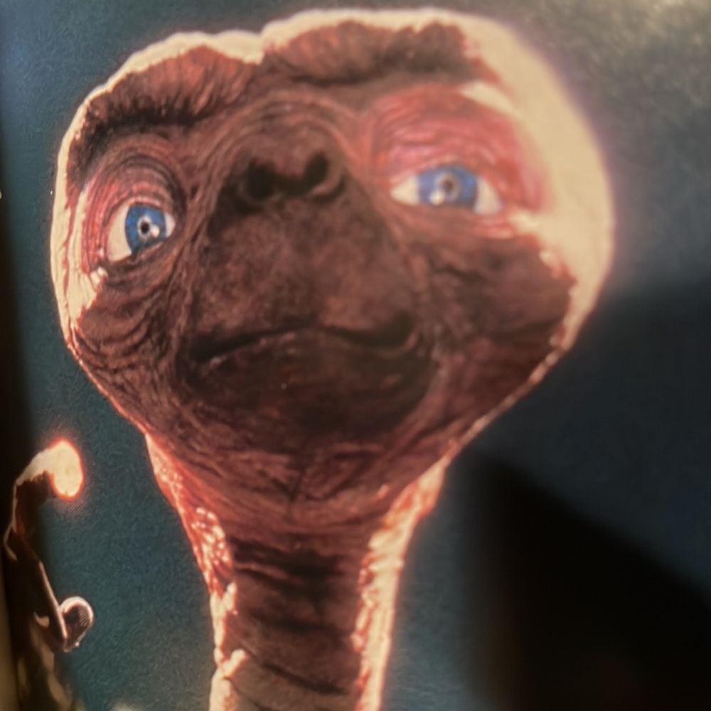 Letters to E.T.”, First Edition, 1983, Collector Quality - Picture 13 of 16